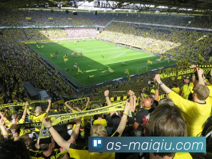 多媒体互动体验